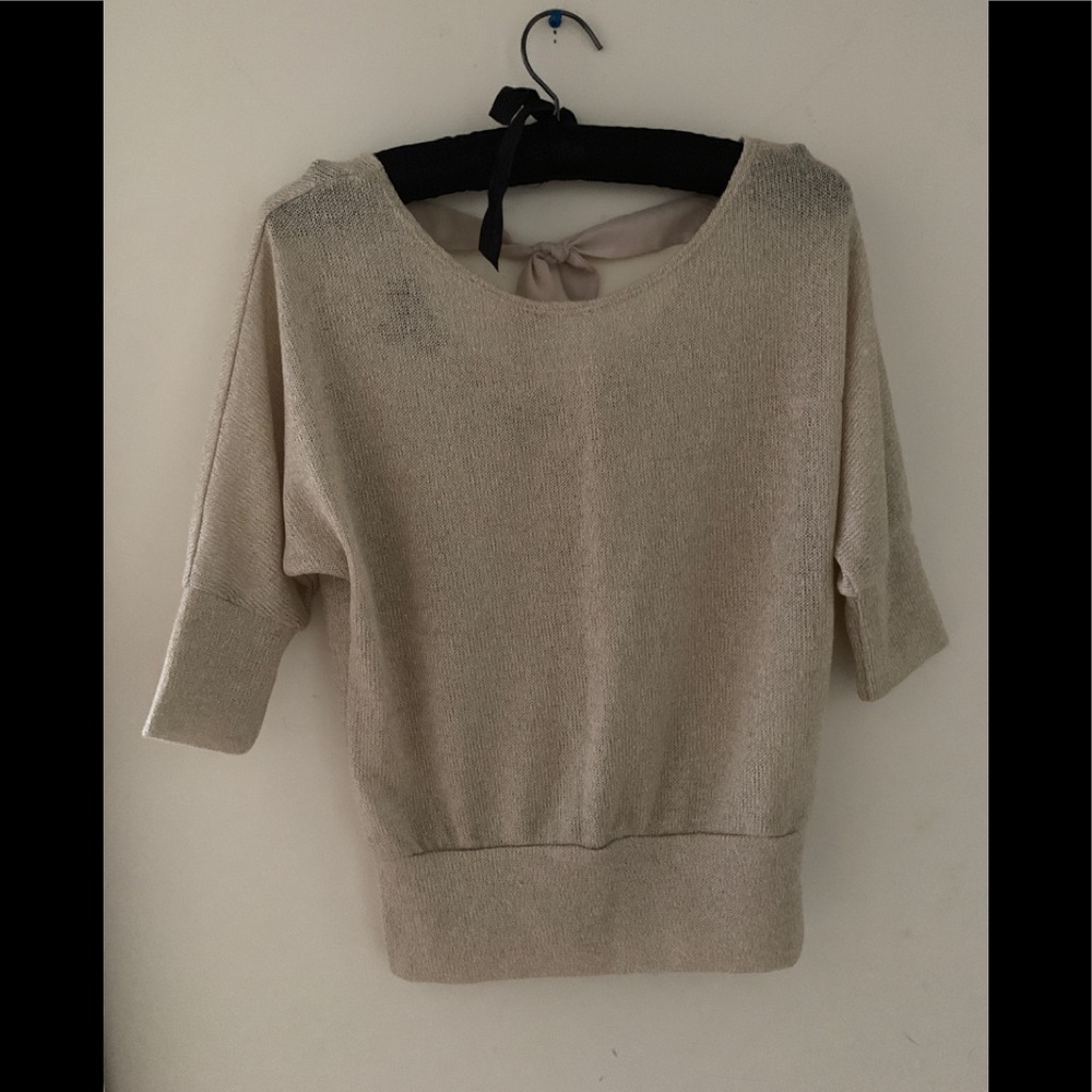 Shimmery back bow Blouse. Never worn